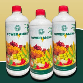 Pupuk Organik Power Amino Acid